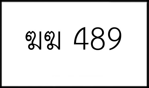 ฆฆ 489